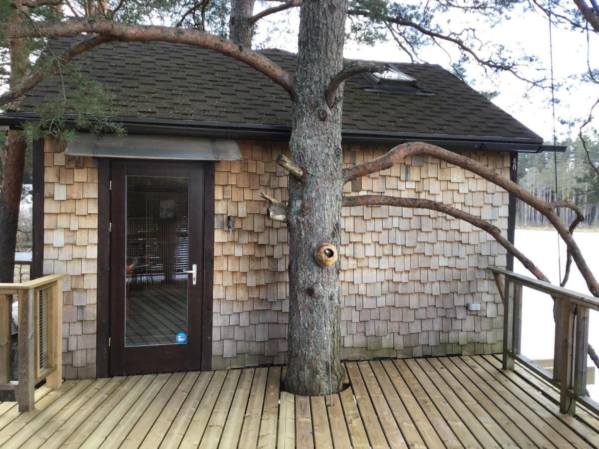 Treehouse Ciekurs Villa Dukuri Eksteriør billede