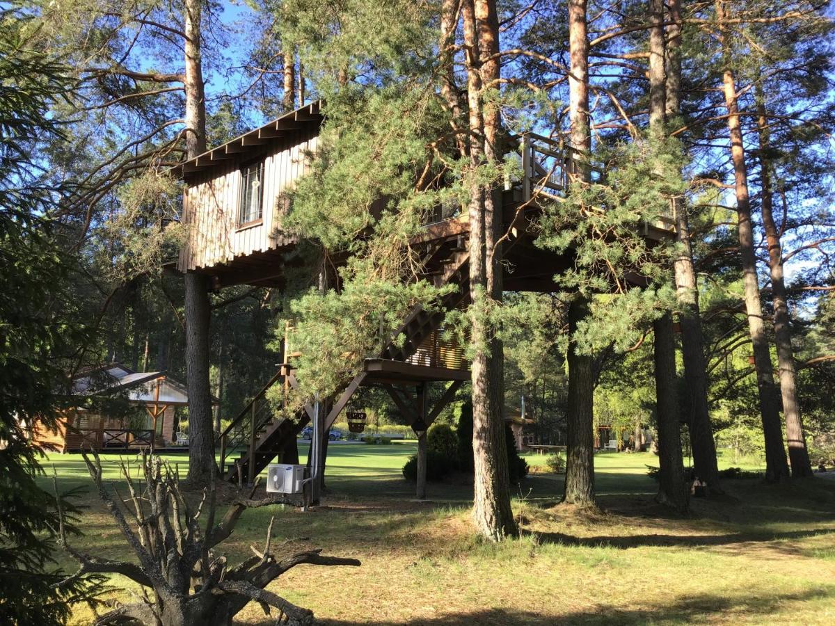 Treehouse Ciekurs Villa Dukuri Eksteriør billede