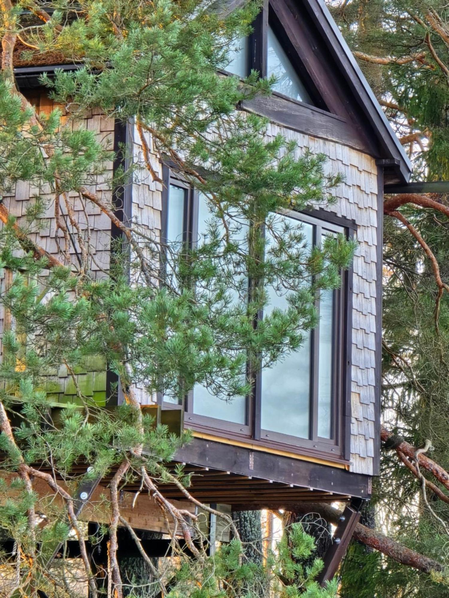 Treehouse Ciekurs Villa Dukuri Eksteriør billede