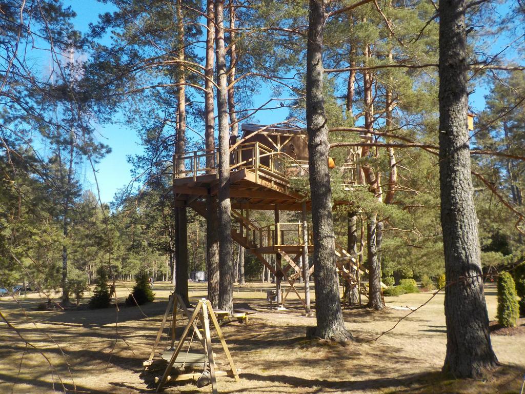 Treehouse Ciekurs Villa Dukuri Eksteriør billede