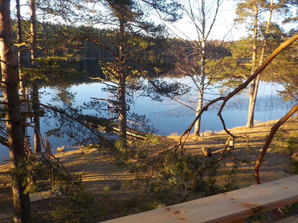 Treehouse Ciekurs Villa Dukuri Eksteriør billede